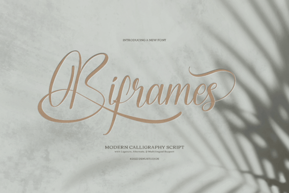 Biframes Font: Elevating Small Business Branding