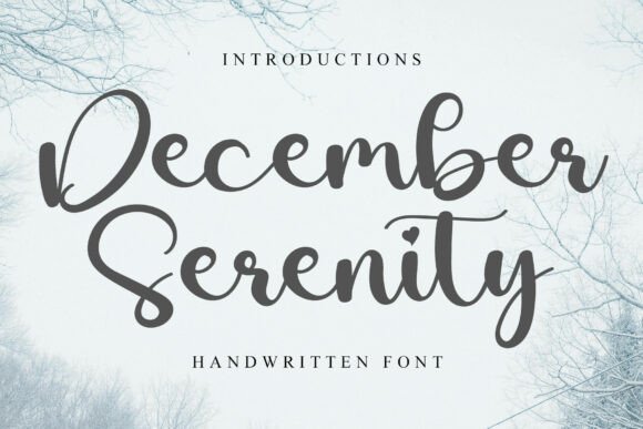 December Serenity: A Designer’s Practical Review